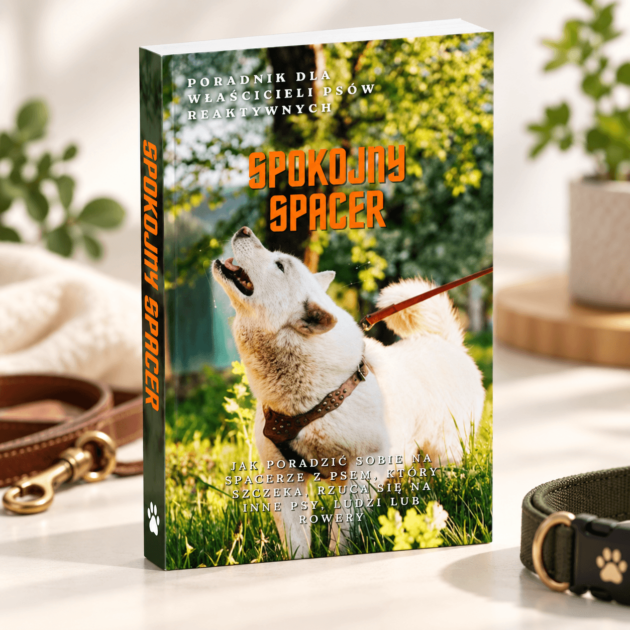 Spokojny spacer: E-book PDF